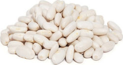 Seed Bean Bean sitting for bean soup Canellino 22gr -The pod is green, wide, 14-15cm long and 1,3cm wide with white seeds. Suitable for the production of dry beans