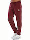 Pantaloni de trening cu Elastic Burgundy