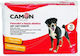 Camon Dog Period Panties Large 12pcs