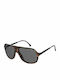 Carrera Safari Men's Sunglasses with Brown Plastic Frame and Gray Lens 65 WR9/M9