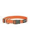 Rogz Utility Dog Collar in Orange color Dog Collar LG Orange RGHB06D