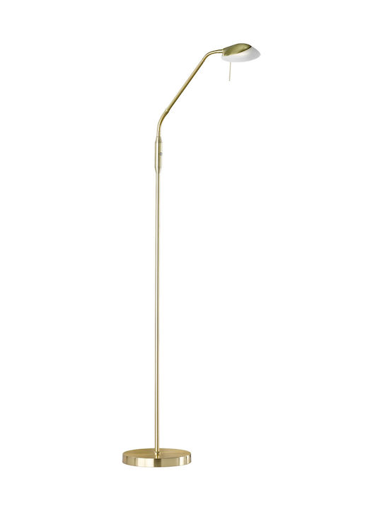 Fischer Honsel Pool TW LED Stehlampe H160xB23cm. mit Einstellbarem Weißem Licht Gold