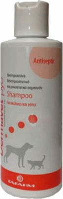 Tafarm DermaVet PYO Shampoo Dog Αντισηπτικό 200ml