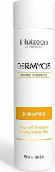 Intuizoon Dermycis Shampoo Dog Dermatological Κνησμό & Λιπαρότητα 250ml