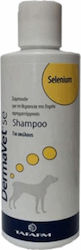 Tafarm DermaVet SE 200ml