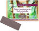 Zao Organic Makeup Rectangle Pearly Shadow Refi...