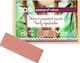 Zao Organic Makeup Rectangle Pearly Shadow Refi...