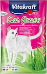 Vitakraft Cat Grass Σπόροι 50gr