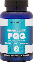 Nature's Plus BrainCeutix PQQ 60 Kapseln Nature's Plus BrainCeutix PQQ 60 Kapseln