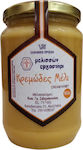 Melisson Ergastiri Honey Flower 950gr