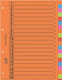 Next Paper Dividers for Documents A4 with Holes 10pcs Colorful 20 slots