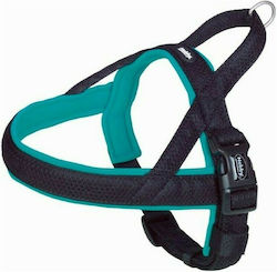 Nobby Training Mesh Harness Turquoise Large / Medium 35mm x -64cm
