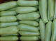 Agrotikos Oikos Spyrou Seeds Pumpkinς Zucchini Armonia 250pcs