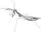 Fascinations Praying Mantis Metall Modellfigur 11.8x8.9x3.9cm.