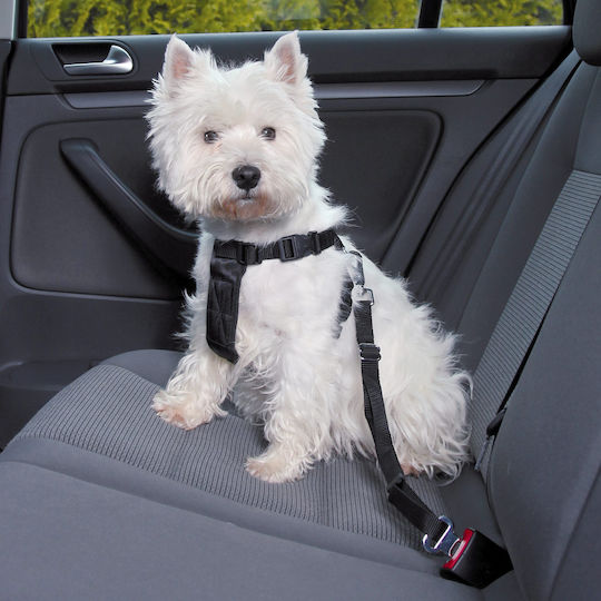 Trixie Car Seatbelt for Dog XSmall 20-50cm Black