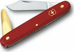 Victorinox 3.9110.B1 Budding Knife