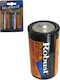 AGC Zinc D Batteries 1.5V 2 pack
