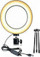 USB LED Ring Light 16cm 2500 - 4500K with Desktop Tripod and Mobile Holder