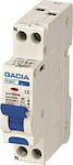 Gacia Phase Relays Leckage der Erde 16A Single Pole with Voltage 230V 4,5 kA 30 mA 1P+N Typ A 500-43512