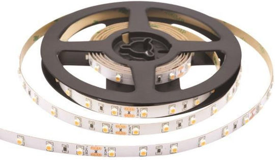 Eurolamp Ταινία LED 12V Θερμό Λευκό Φως 5m Τύπου SMD3528