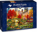 Central Park NYC Puzzle 2D 1000 Pieces