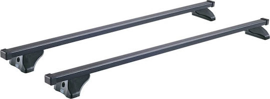 Auto Gs S-FIX 110 Universell (mit Dachträgerfüßen)