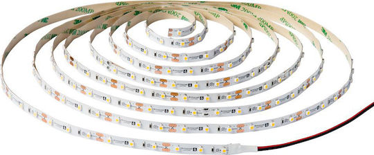 Evivak LED Strip 12V RGB Light 5m Type SMD5050