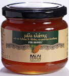 Meli Serron Honey Fir 450gr