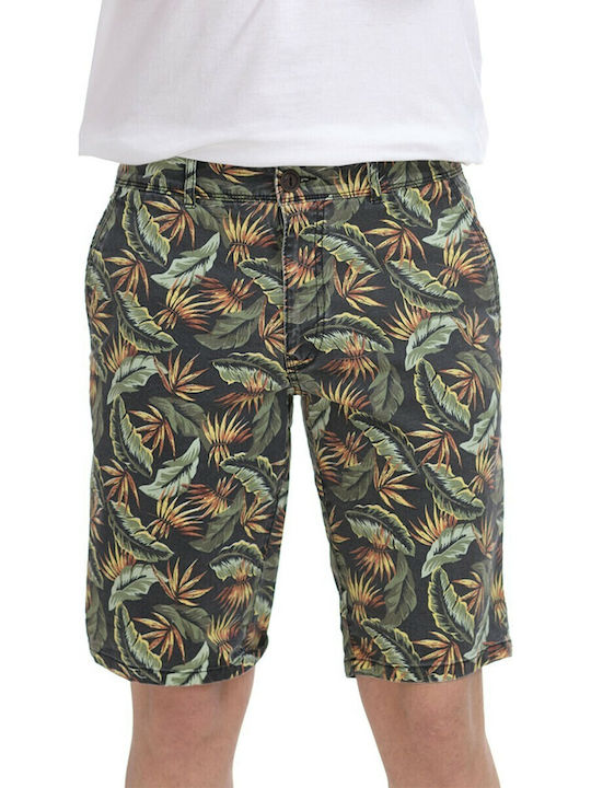 Bermudă de Bărbați Chino Multicolor