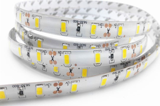 Evivak Waterproof LED Strip 12V Natural White Light 5m Type SMD5050