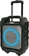 Denver Karaoke Lautsprecher mit Kabelgebundenem Mikrofon und Lichteffekten TSP-305 Schwarz