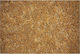 Nikotex Carpets Carpet Jade Price Per Meter