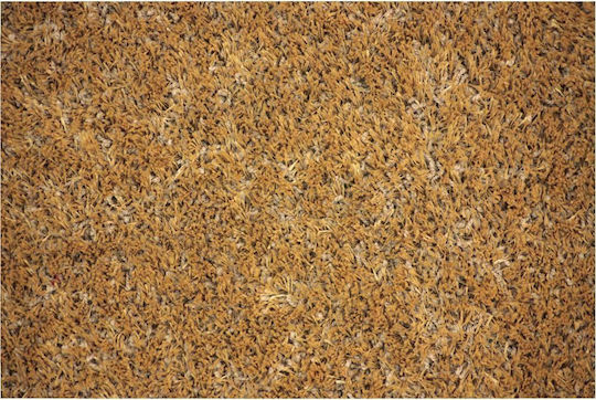 Nikotex Carpets Μοκέτα Jade (τιμή ανά μέτρο)