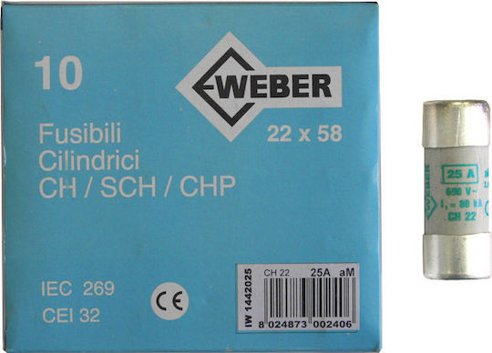 Adeleq Φυσίγγια Πορσελάνης Κυλινδρικά 22x58mm 25Α