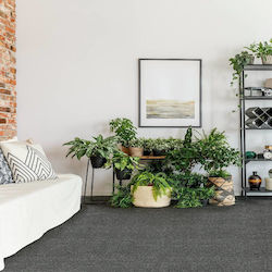 Nikotex Carpets Studio 160x230cm
