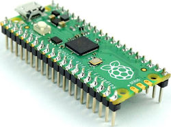 Raspberry Pi (SC0915WH) Vorstand