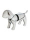 Trixie Tarbes Transparent Waterproof Dog Coat with 55cm Back Length