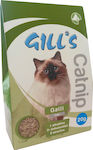 Croci Catnip Gras Katze für Stimmungsverbesserung 20gr C3052376