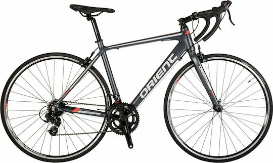 Orient Intro 1.0 28" 2021 Gray Gravel Bicycle With 14 Speeds