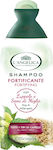 L' Angelica Shampoos Reconstruction/Nourishment for All Hair Types 250ml