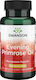 Swanson Evening Primrose Oil 500mg Supplement For Menopause 100 Softgels