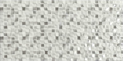 Stn Ceramica Andros Kitchen Wall / Bathroom Gloss Ceramic Tile 50x25cm Gris