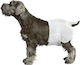 Pawise Female Dogs Βρακάκι Σκύλου XLarge 12τμχ