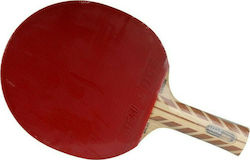 Atemi 500 Ping Pong Racket for Advanced Players