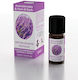 Brand Italia Ulei Esențial Lavanda 10ml