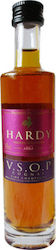 Hardy