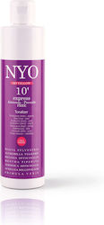 Faipa NYO Tonalizer 10' Express 150ml