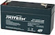 Pattern Battery PT1.3-6 UPS Battery with Capaci...