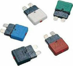 Eval Boat Automatic Fuse 5A / 12-24V