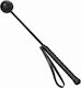 Sportsheets Sex & Mischief Shadow Ball Crop Paddle in Black Color